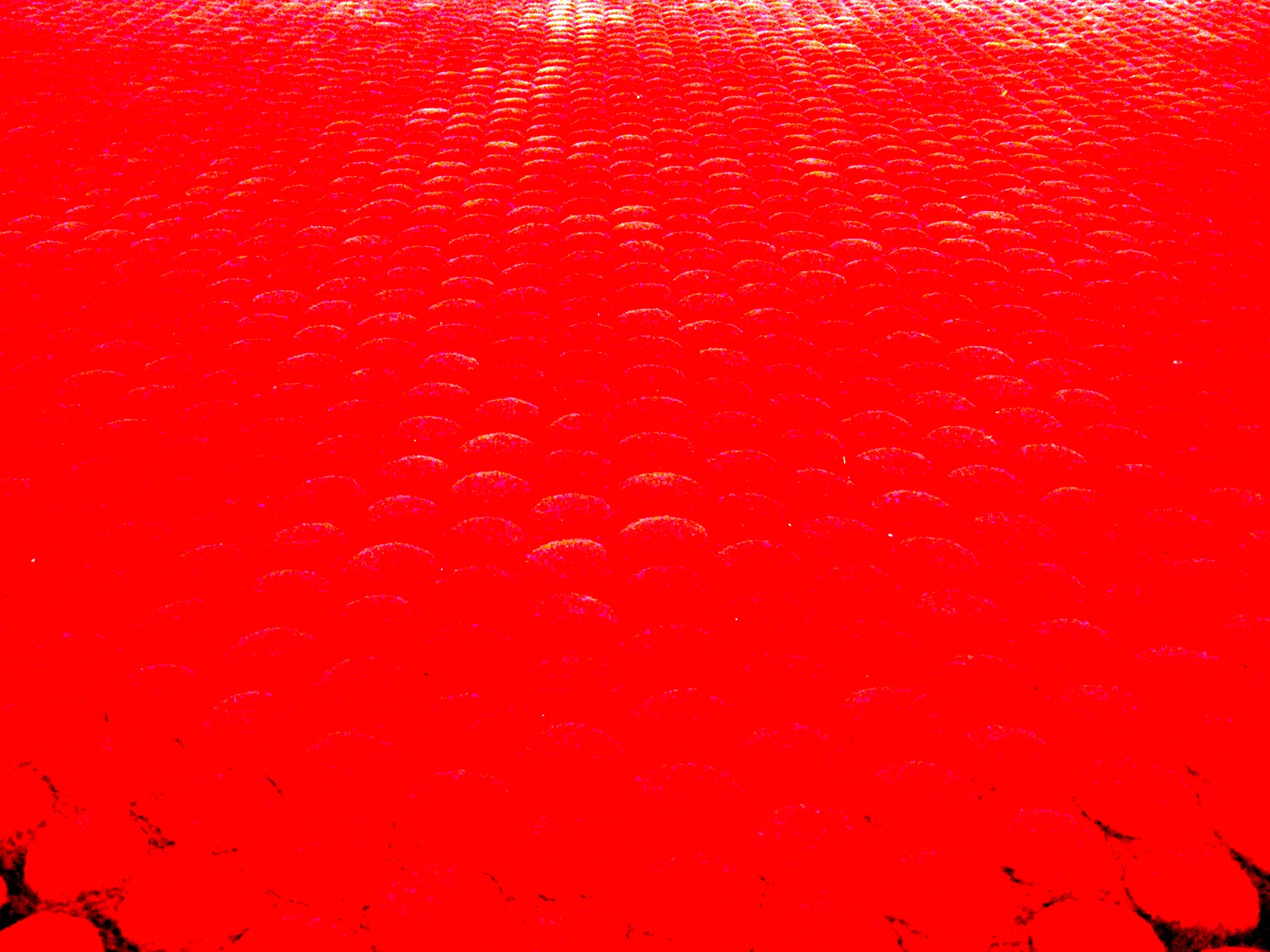 Red Carpet Floor texture