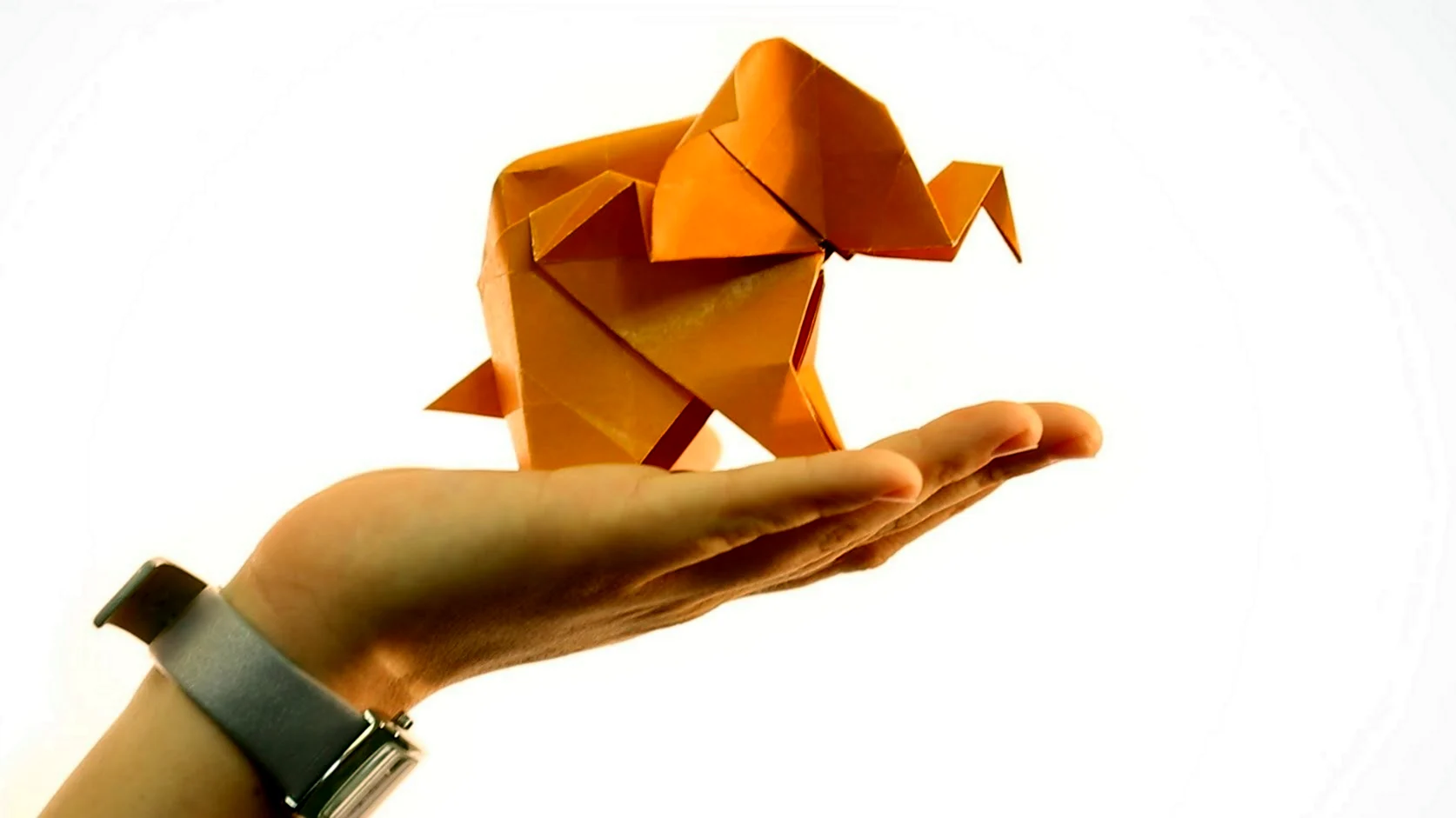 Реклама оригами