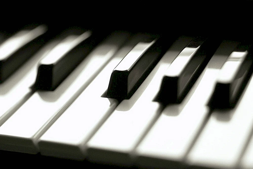 Рояль черно белые клавиши