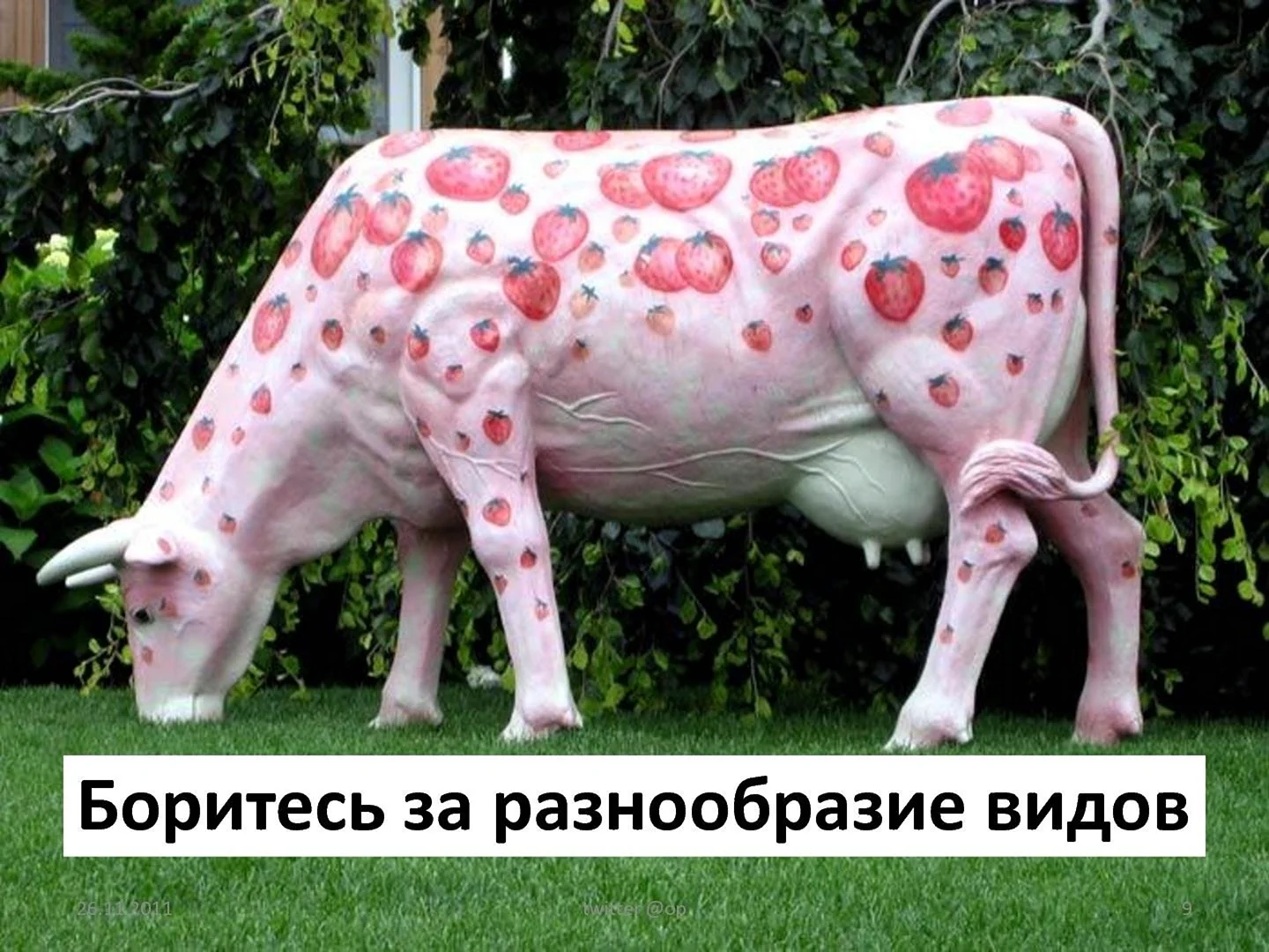 Розовая корова