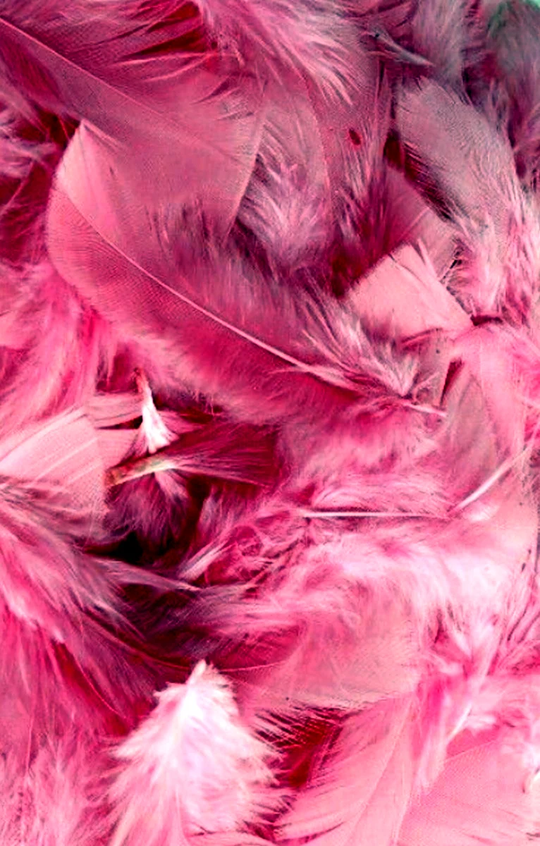 Розовые перья