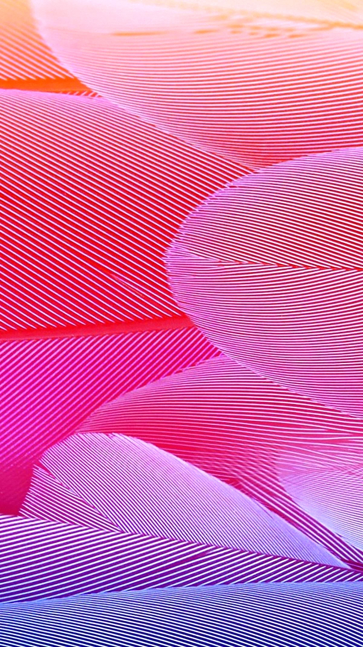 Розовый фон для рабочего стола