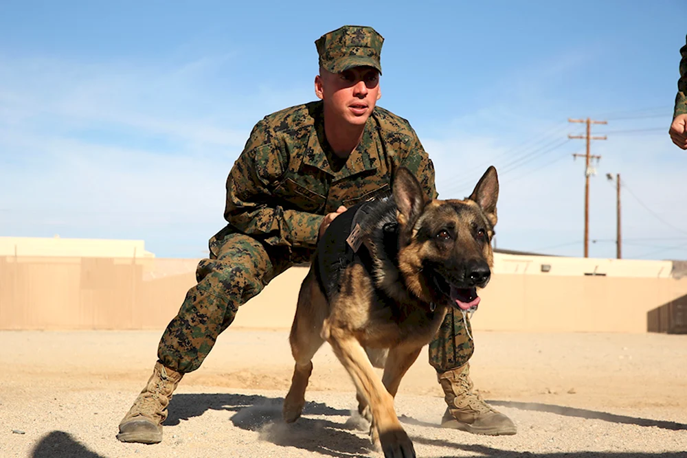 Русский военный с собакой