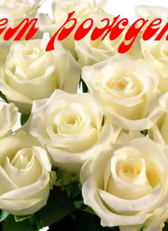 С днём рождения открытка с белыми розами Диана