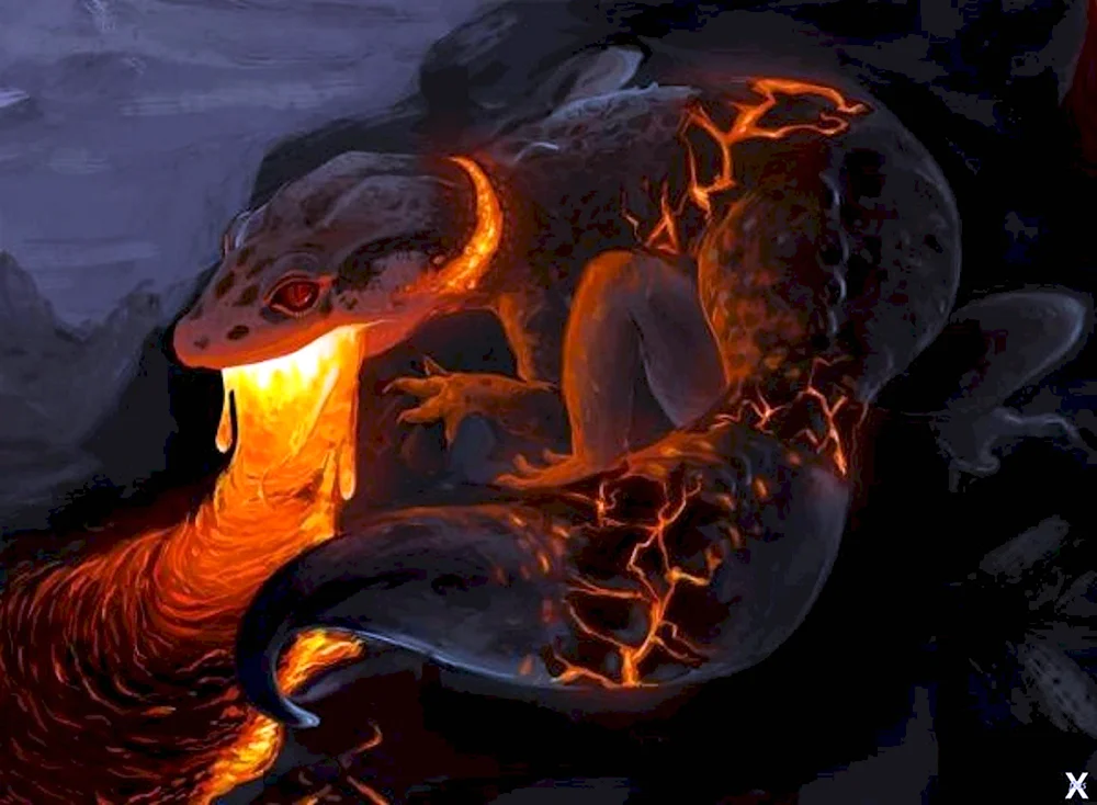 Саламандра — Огненная ящерица