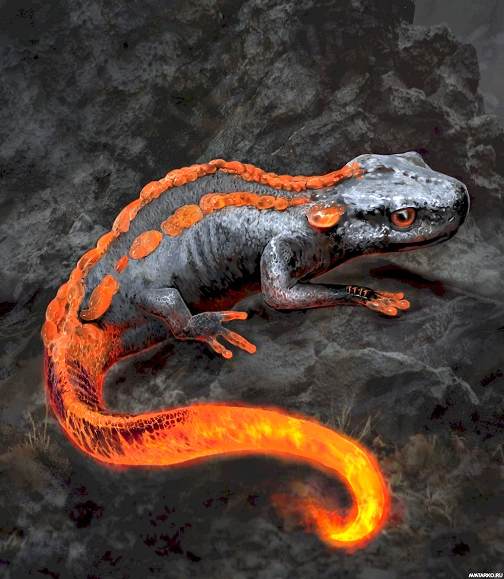 Саламандра — Огненная ящерица