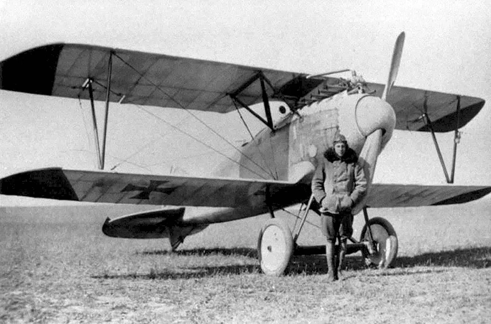 Самолет Albatros d III