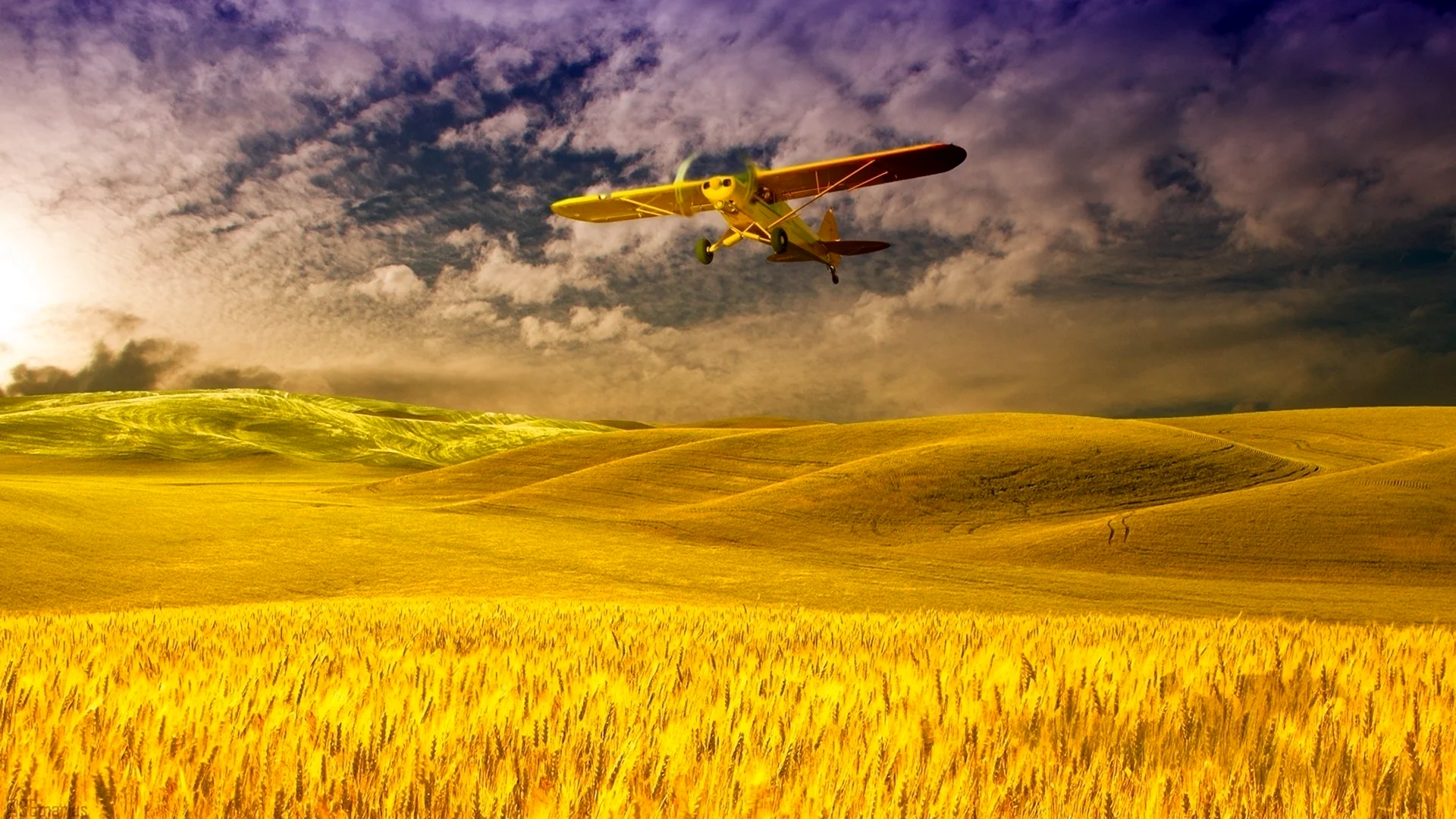 Самолет над пшеничным полем