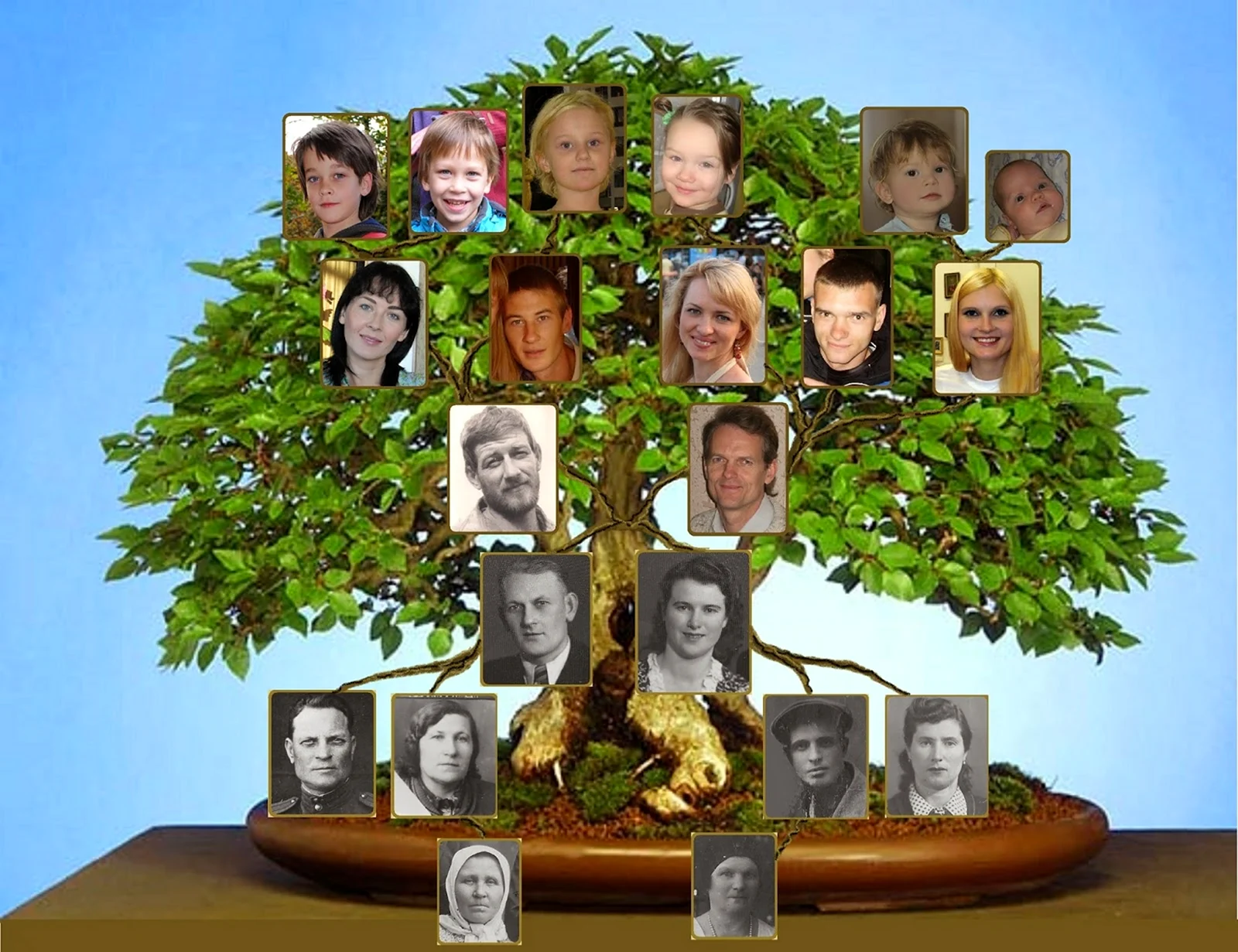 Семейное дерево Баталова