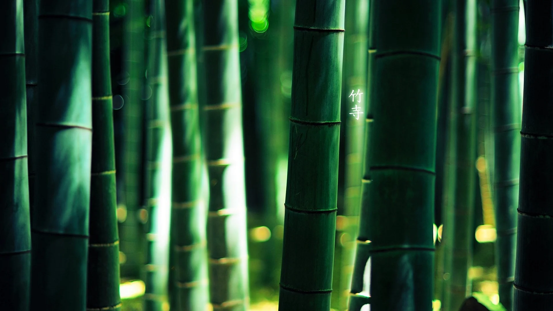 Серебристый бамбук Bamboo Green Bambusgruen