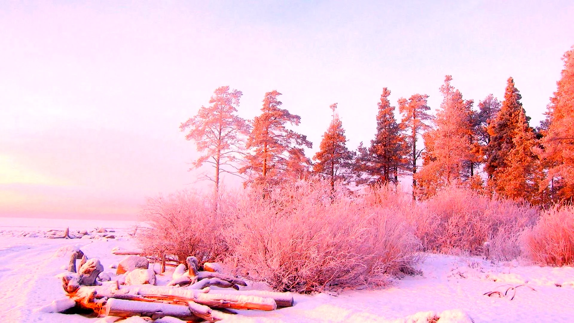 Сьерра Невада розовый снег