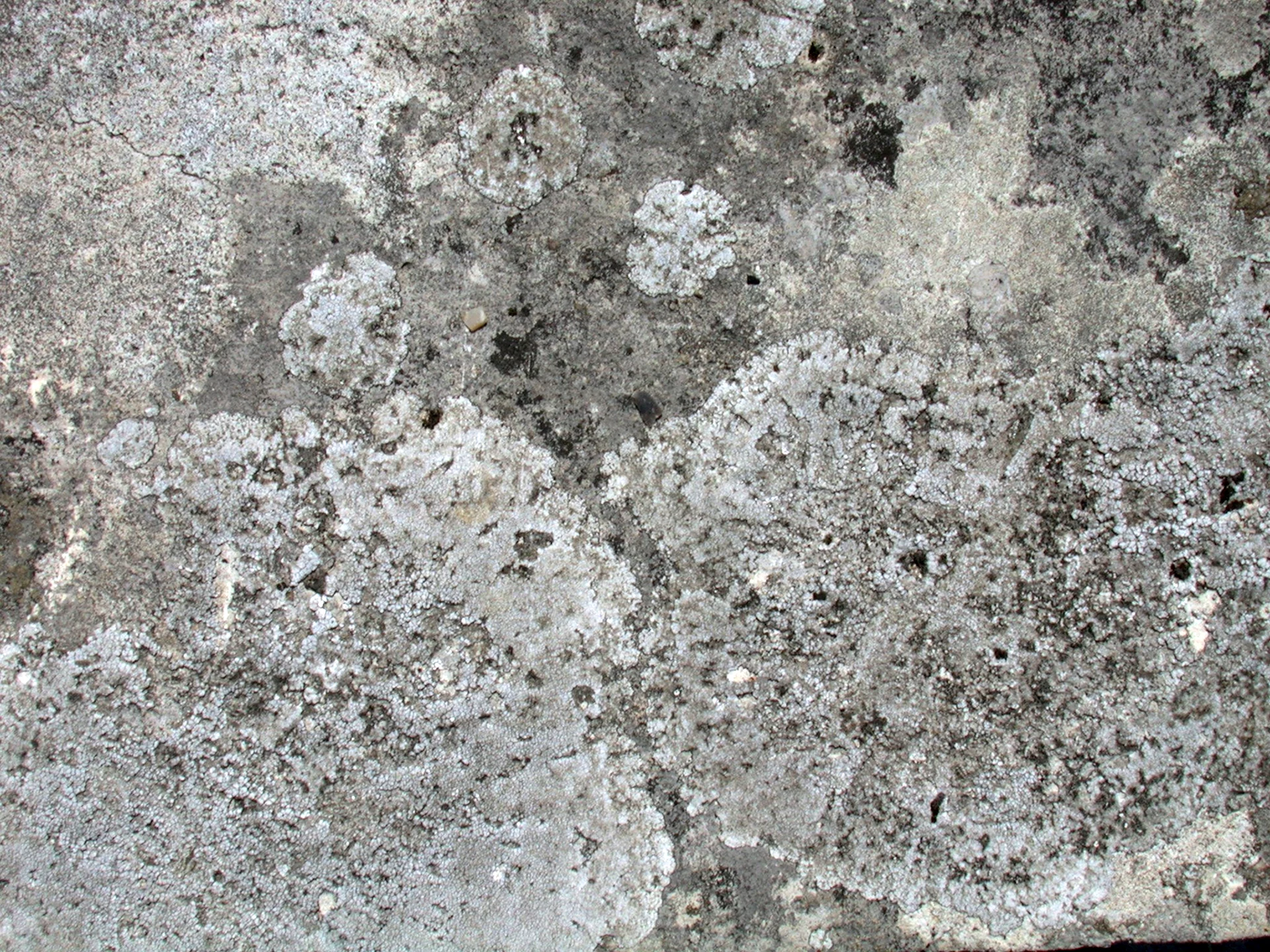 Серый камень текстура