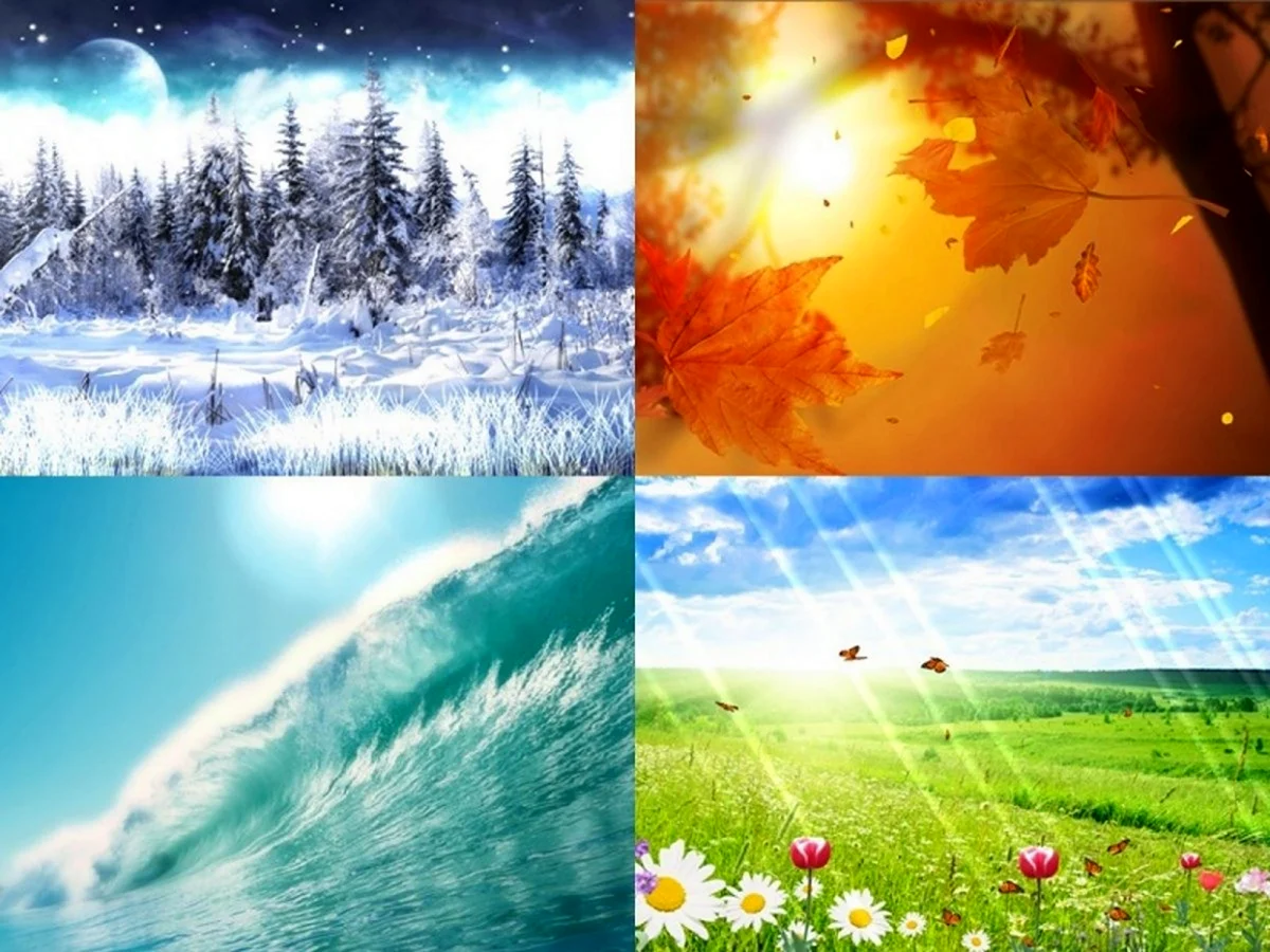 Сезоны года картинки