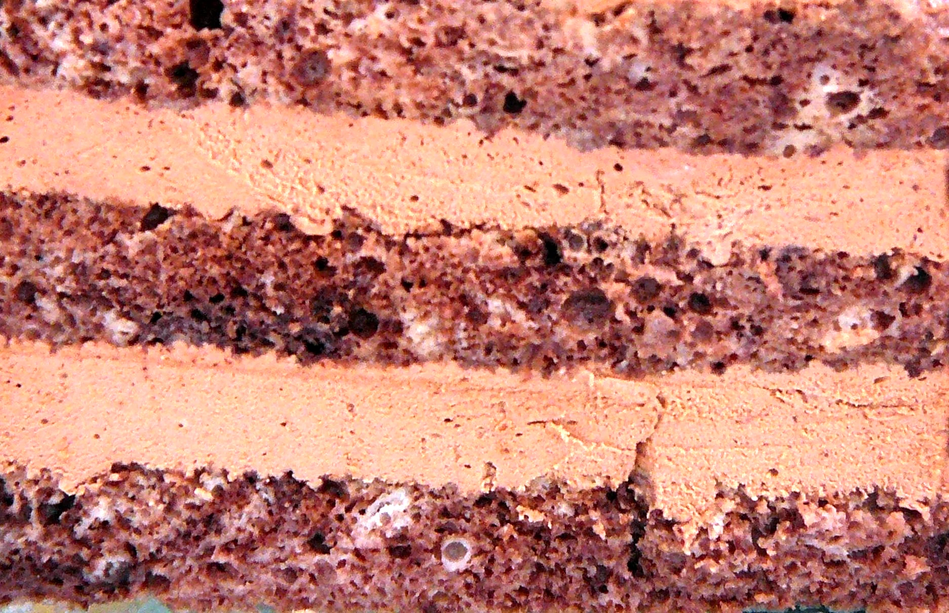 Шоколадный бисквит в разрезе