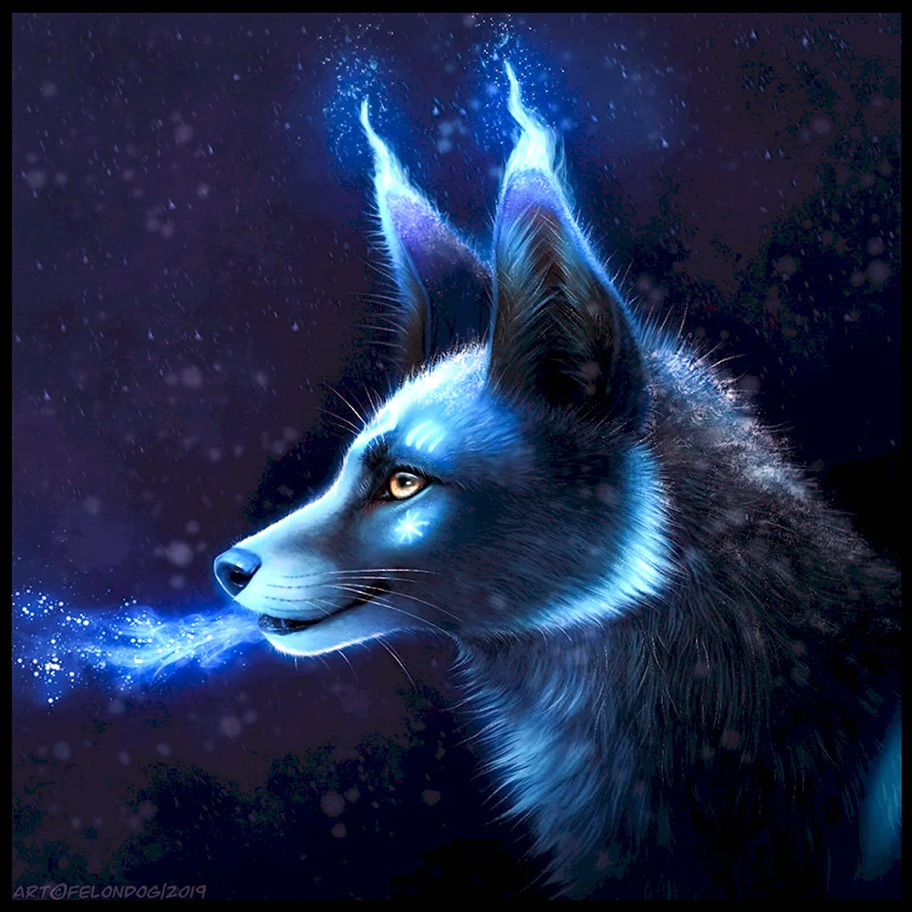Синяя лисица