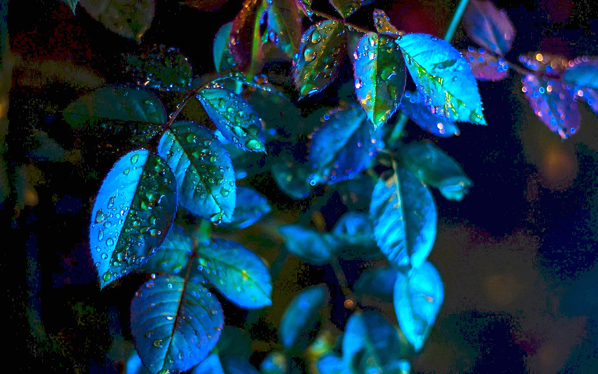 Синяя листва