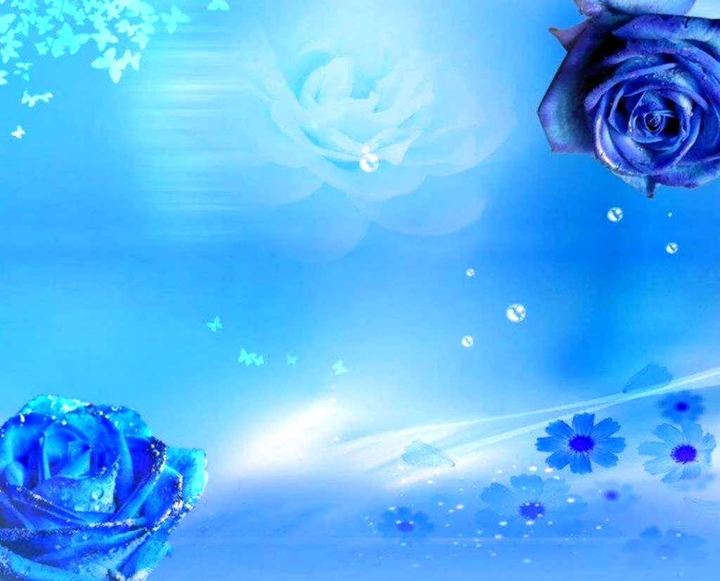 Синие розы фон