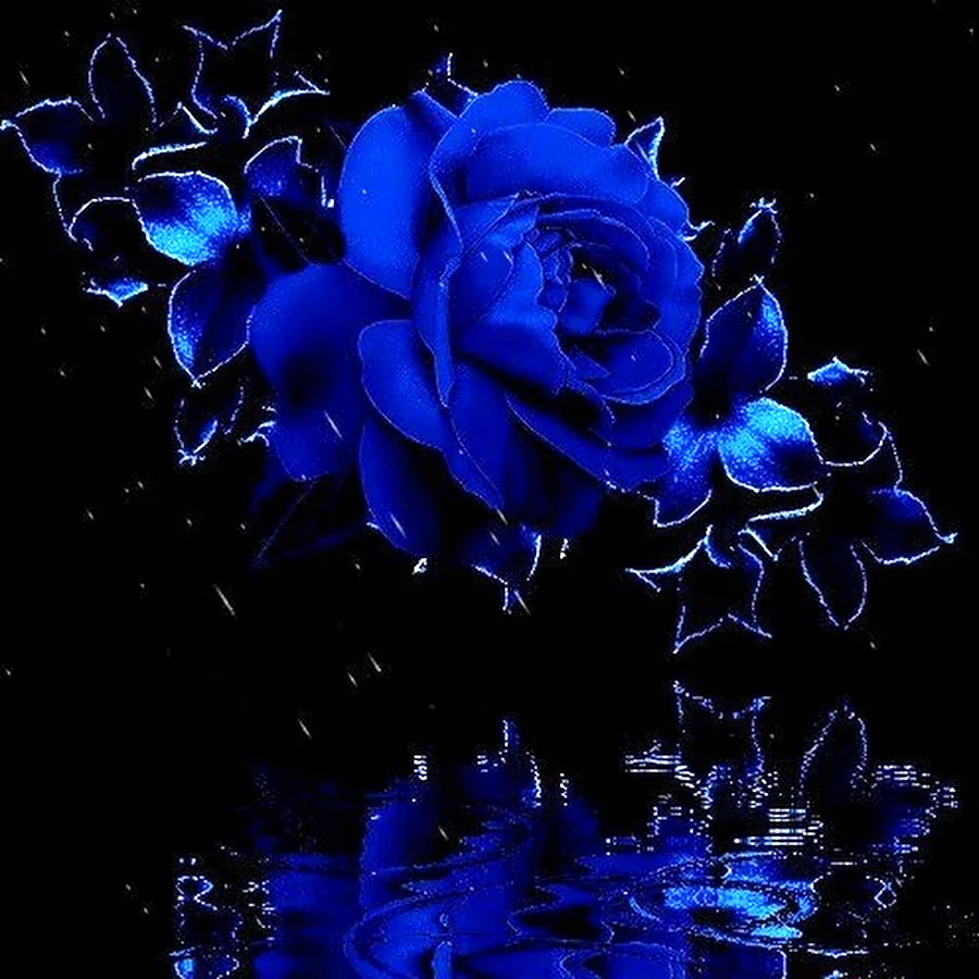 Синие цветы на черном фоне