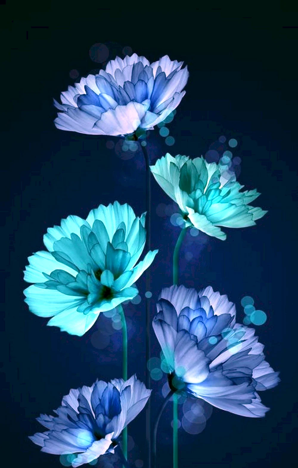 Синие цветы вертикальные