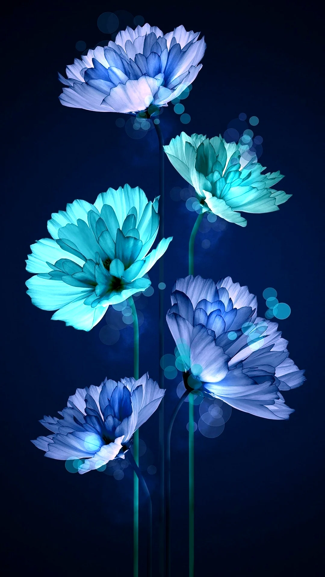 Синие цветы вертикальные