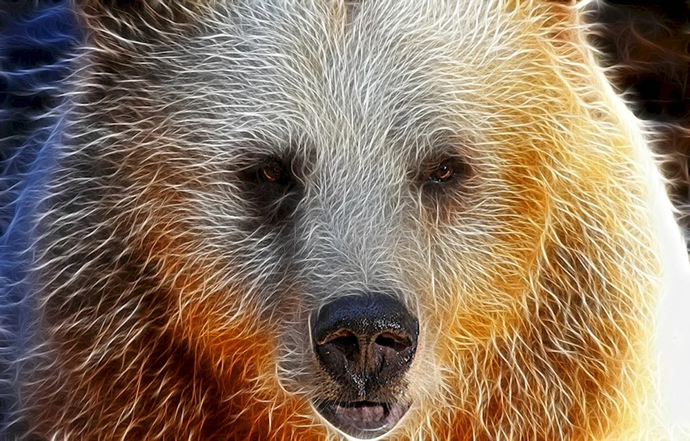 Сирийский медведь