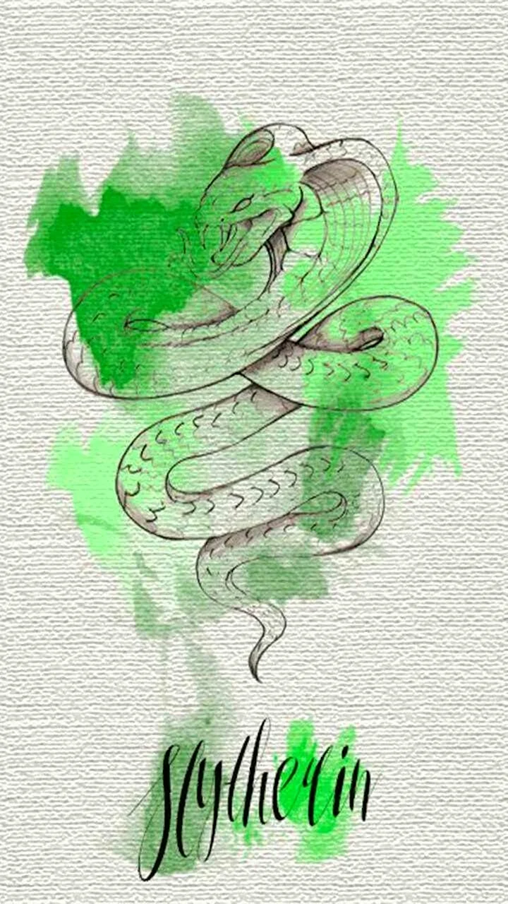Слизерин Эстетика змея