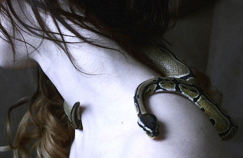 Slytherin aesthetic змея