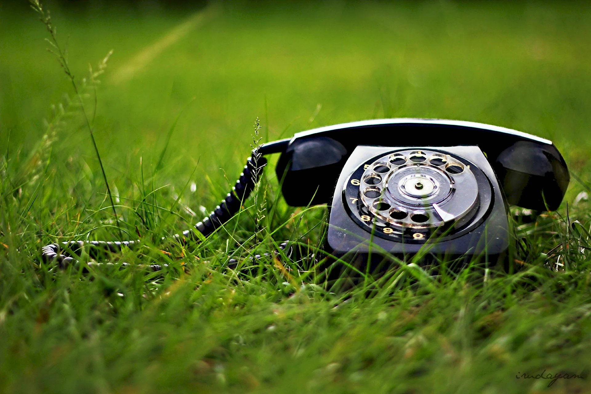 Смартфон на траве