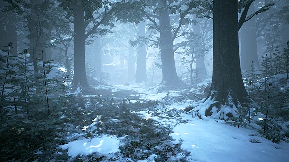 Снежный лес мортал комбат