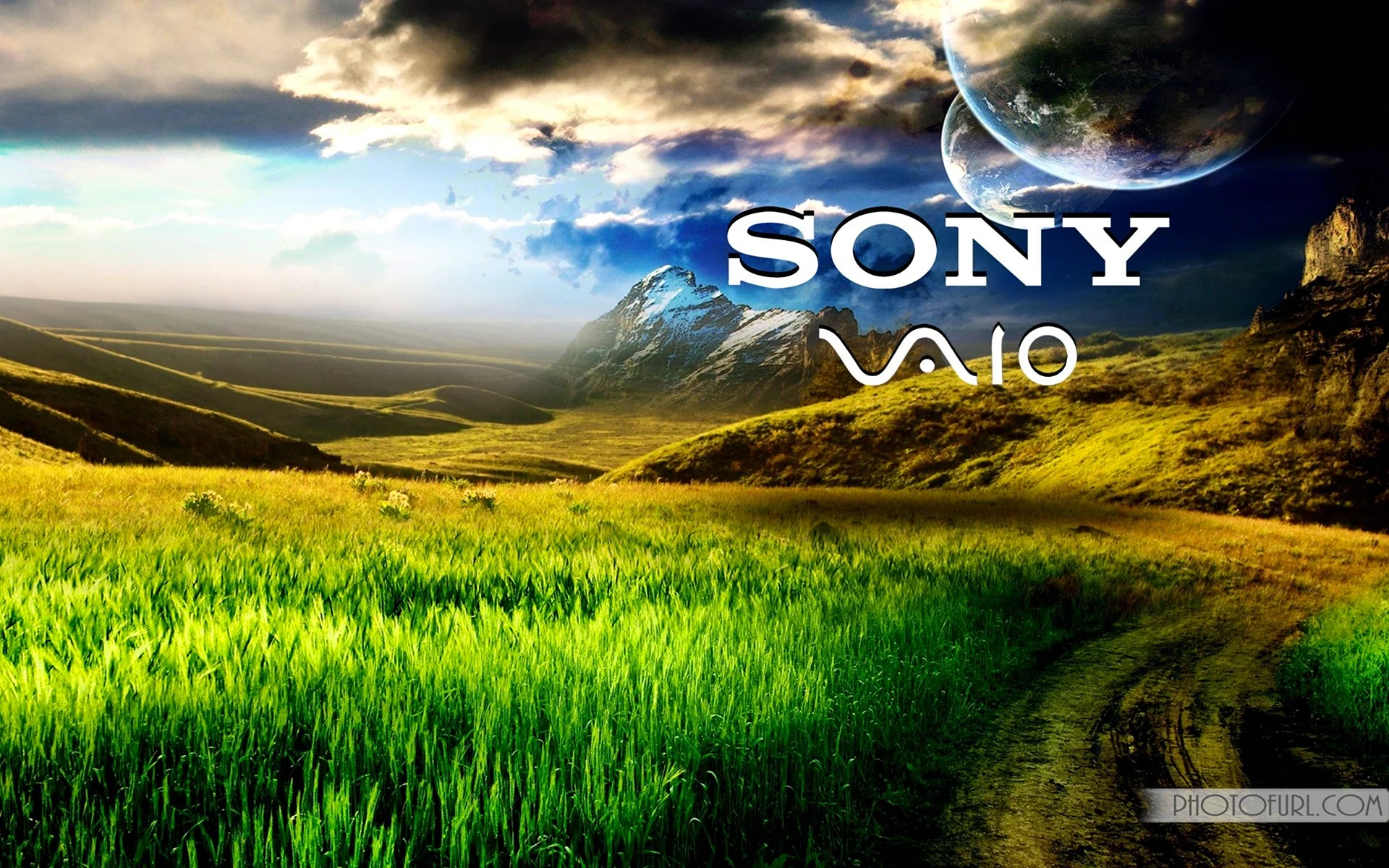 Sony фон