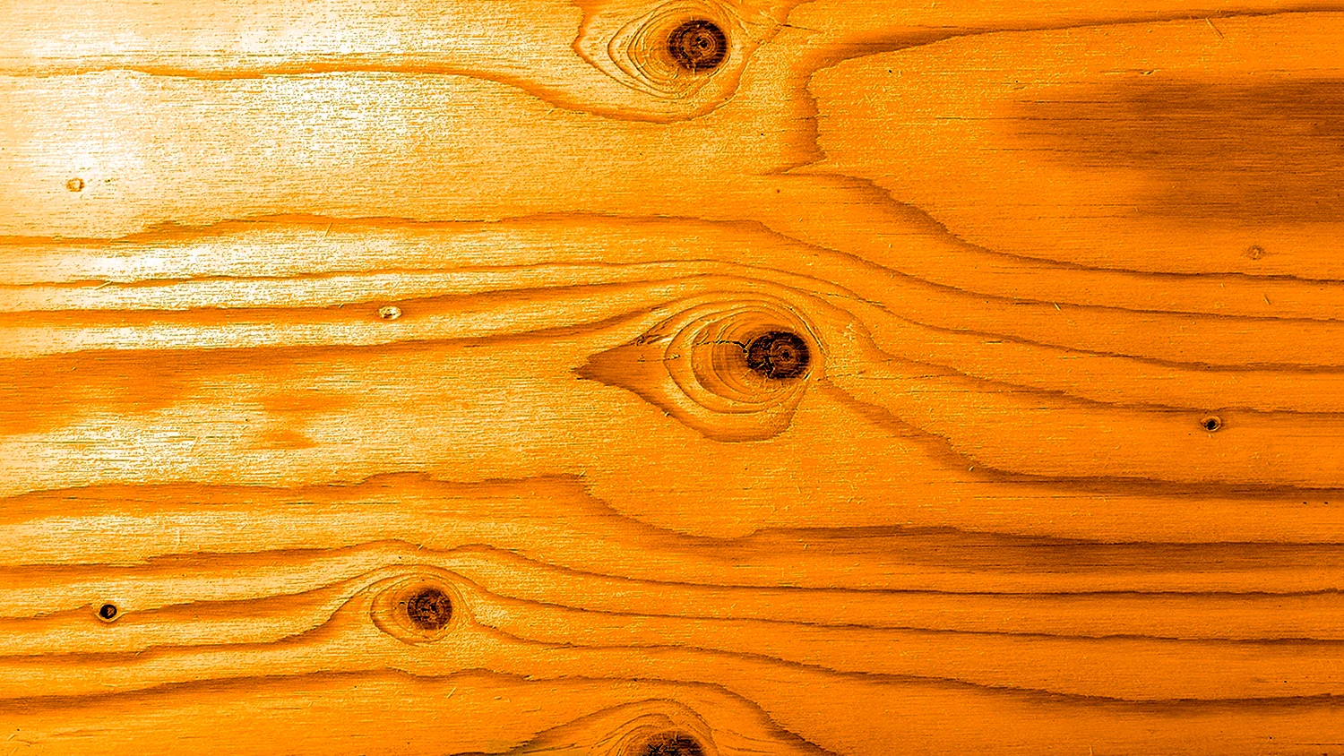 Сосна древесина