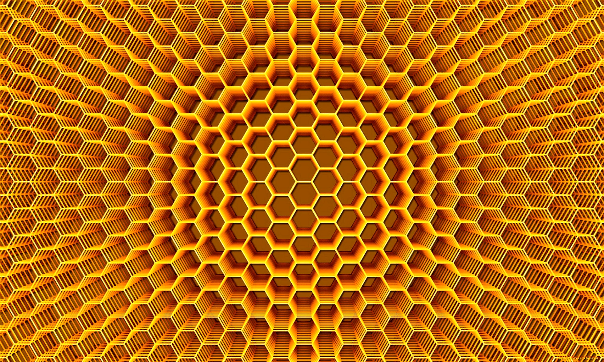 Соты пчелиные вектор