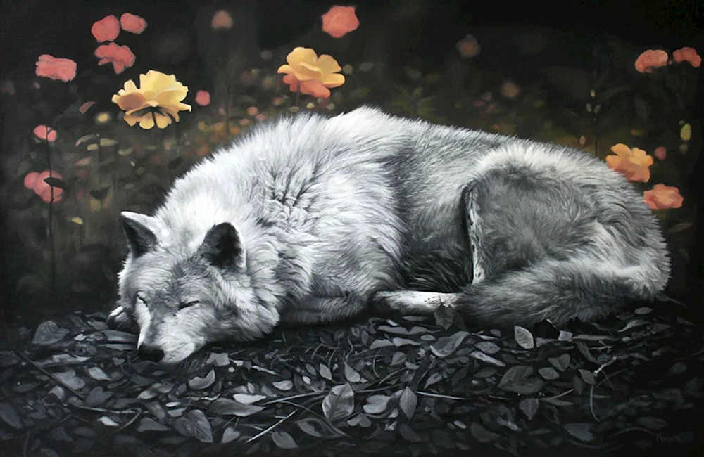 Спящий волк