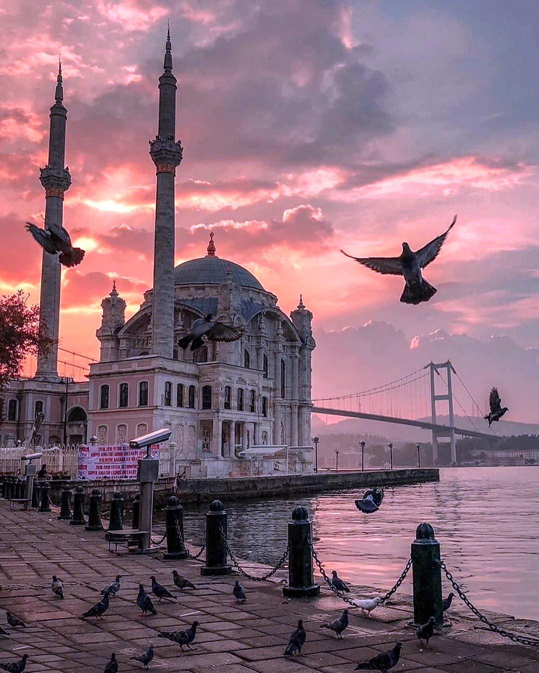 Стамбул Босфор Чайки мечети