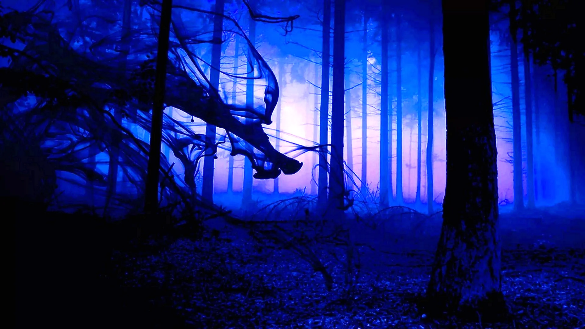 Страшный лес ночью