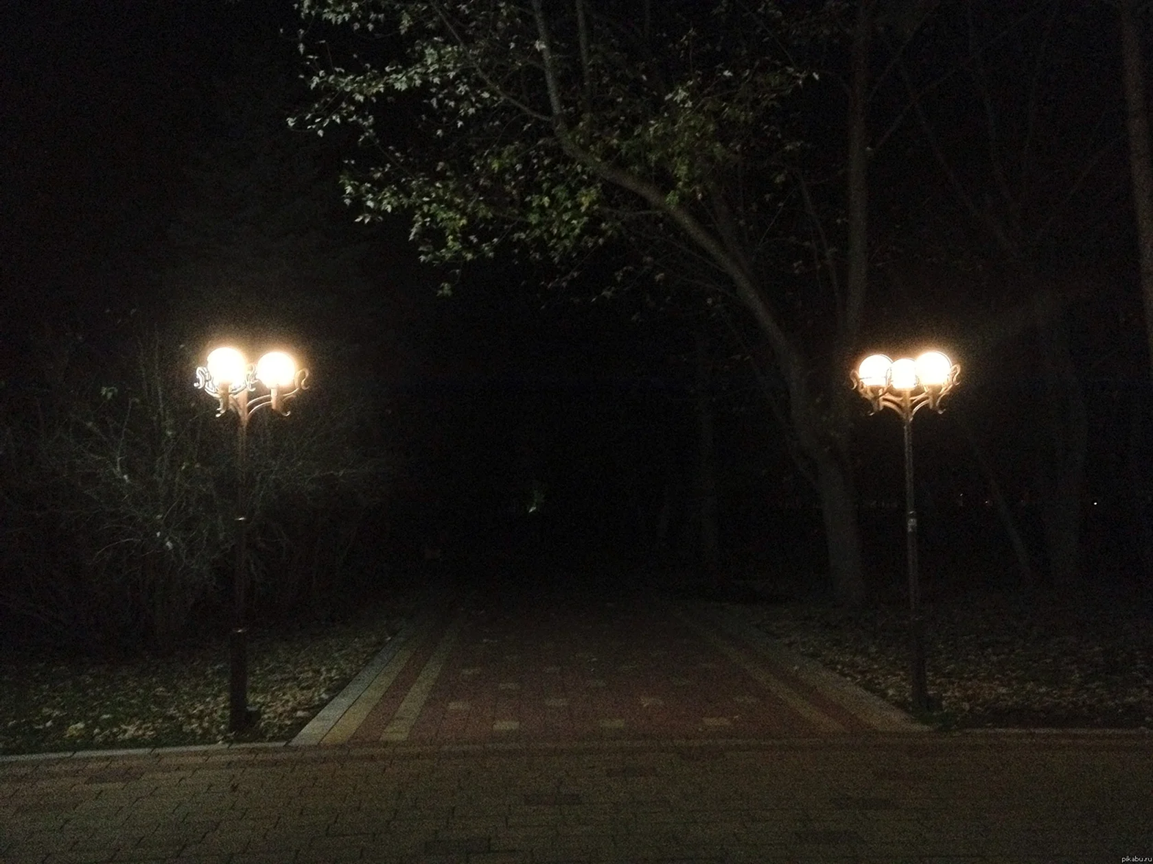 Страшный парк ночью
