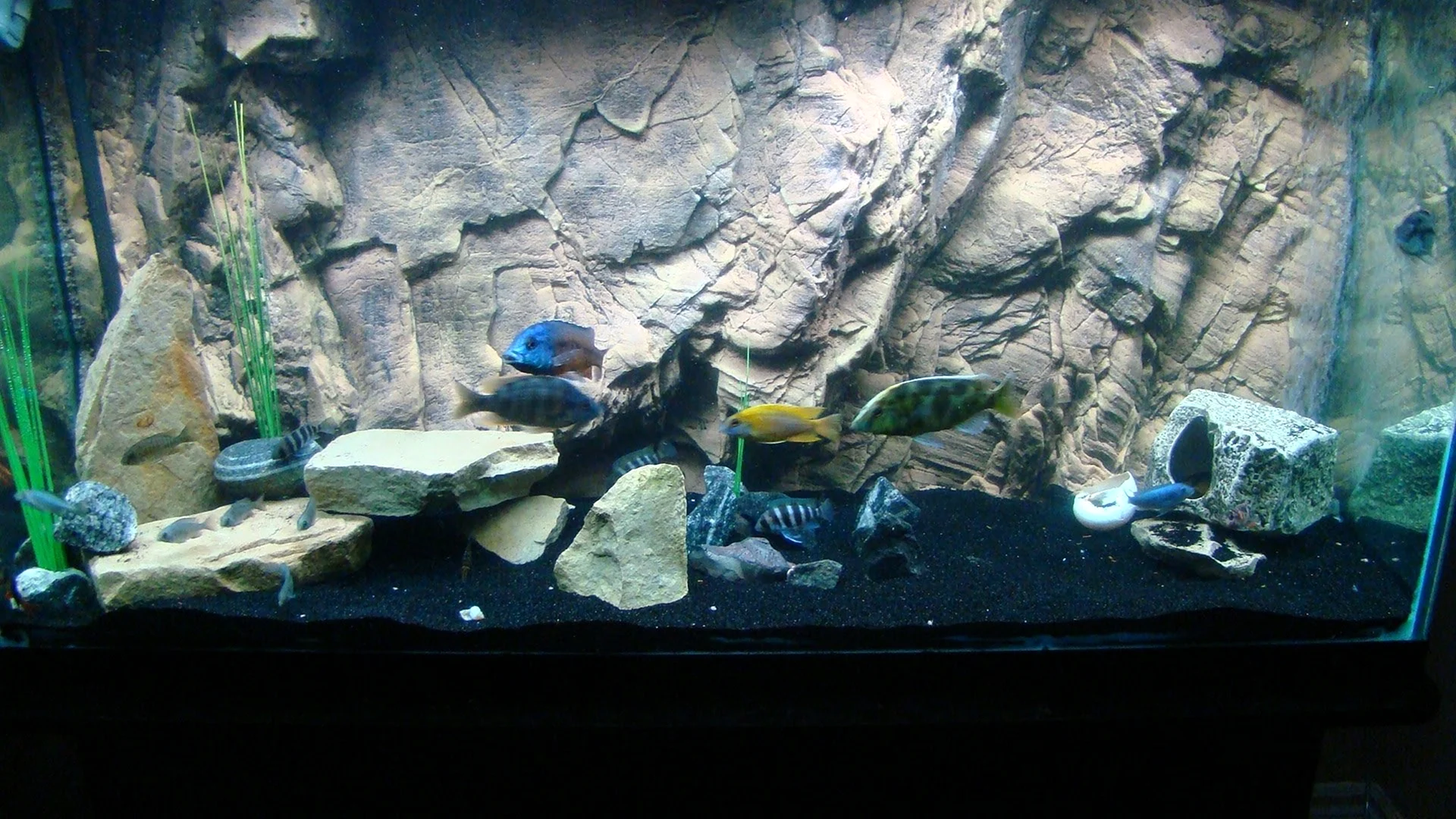 Структурный задний фон для аквариума