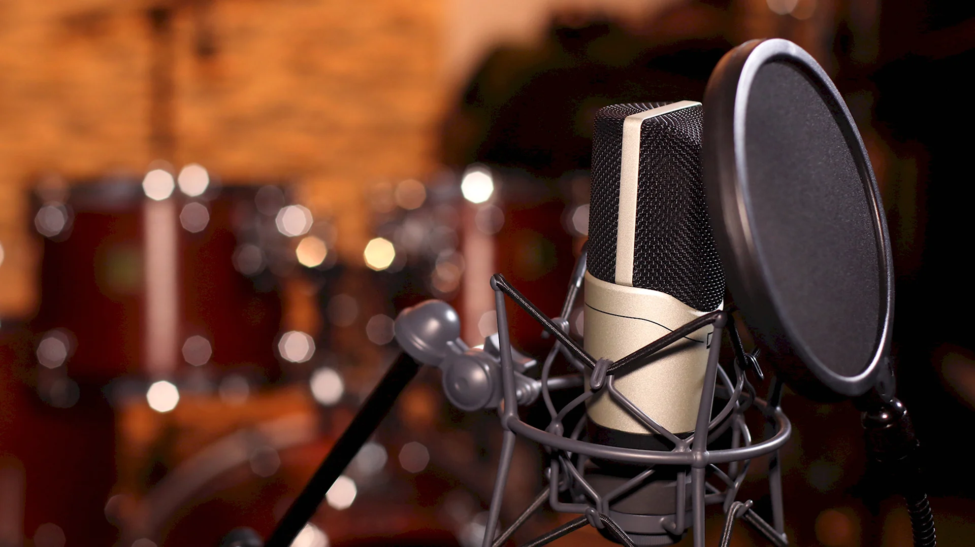 Студийный микрофон для записи вокала v811 Green Studio