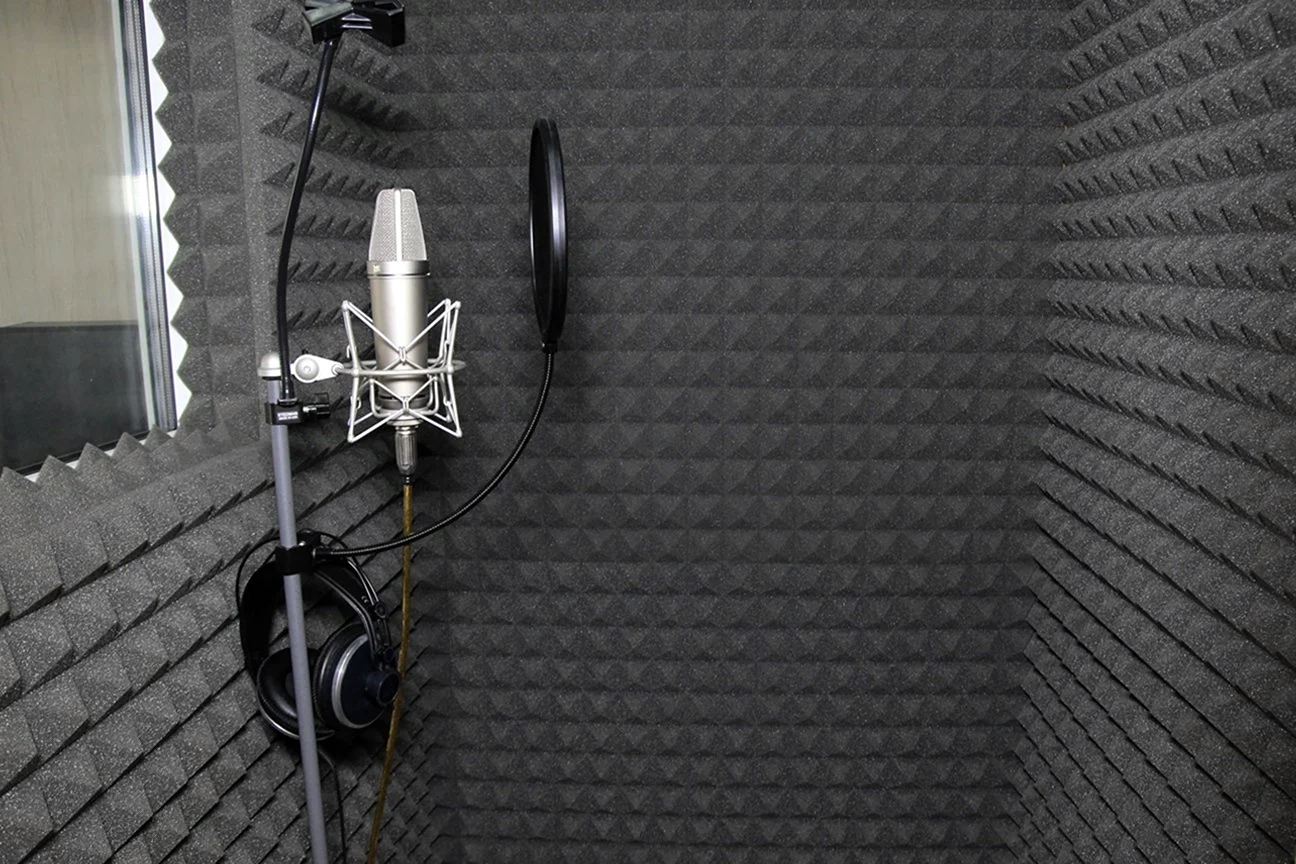 Студийный микрофон для записи вокала v811 Green Studio