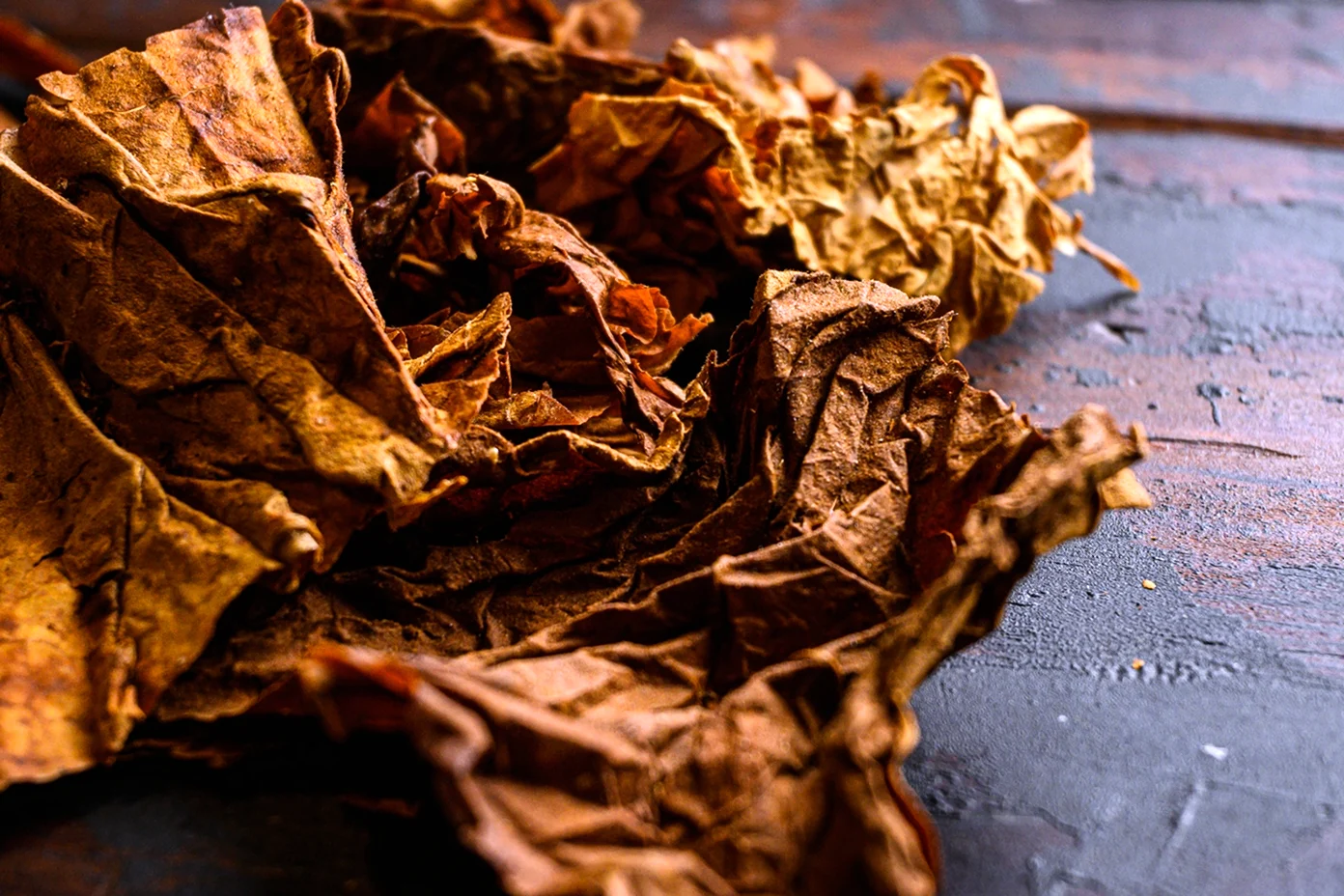 Сухие листья табака