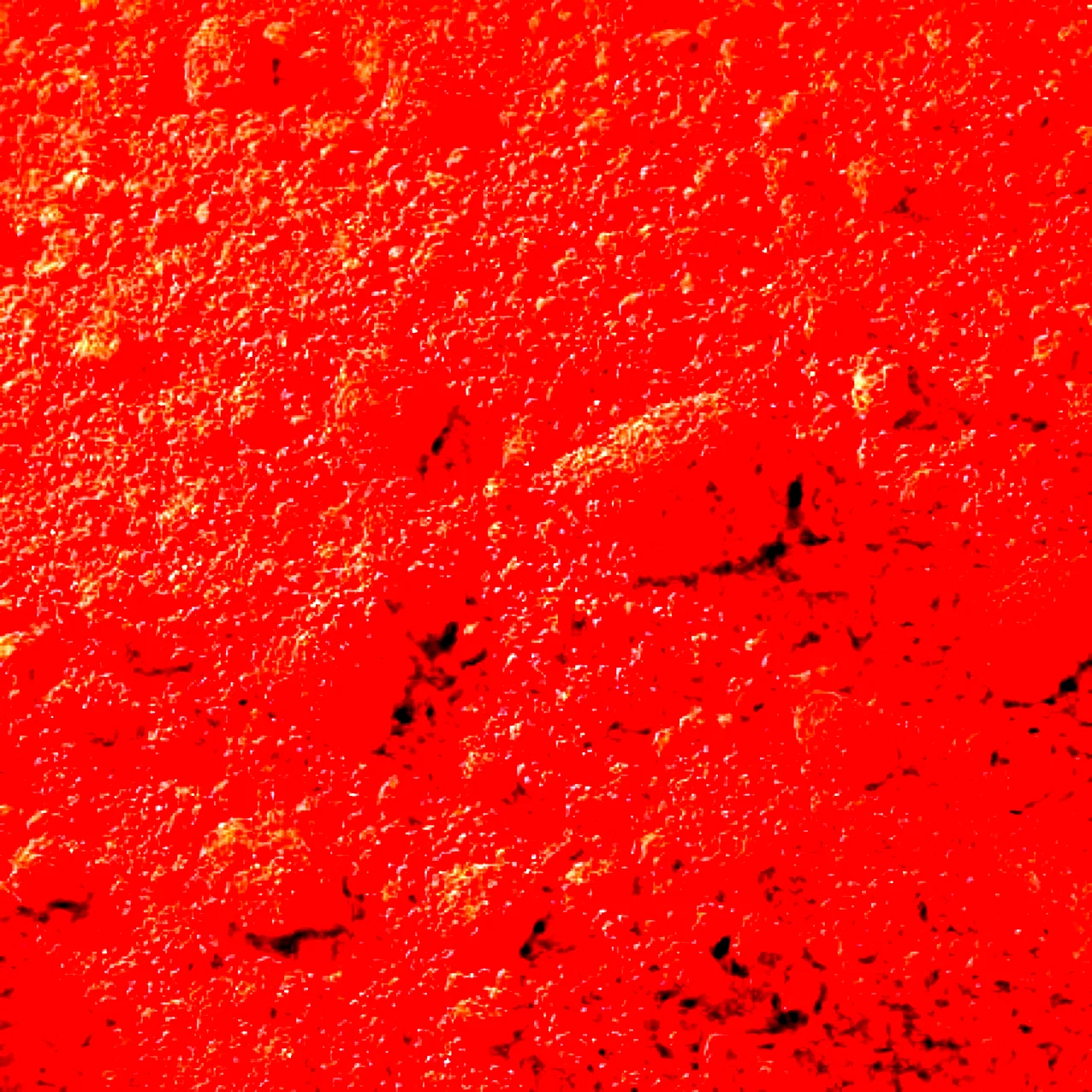 Сухой пигмент Шафран красный на авто