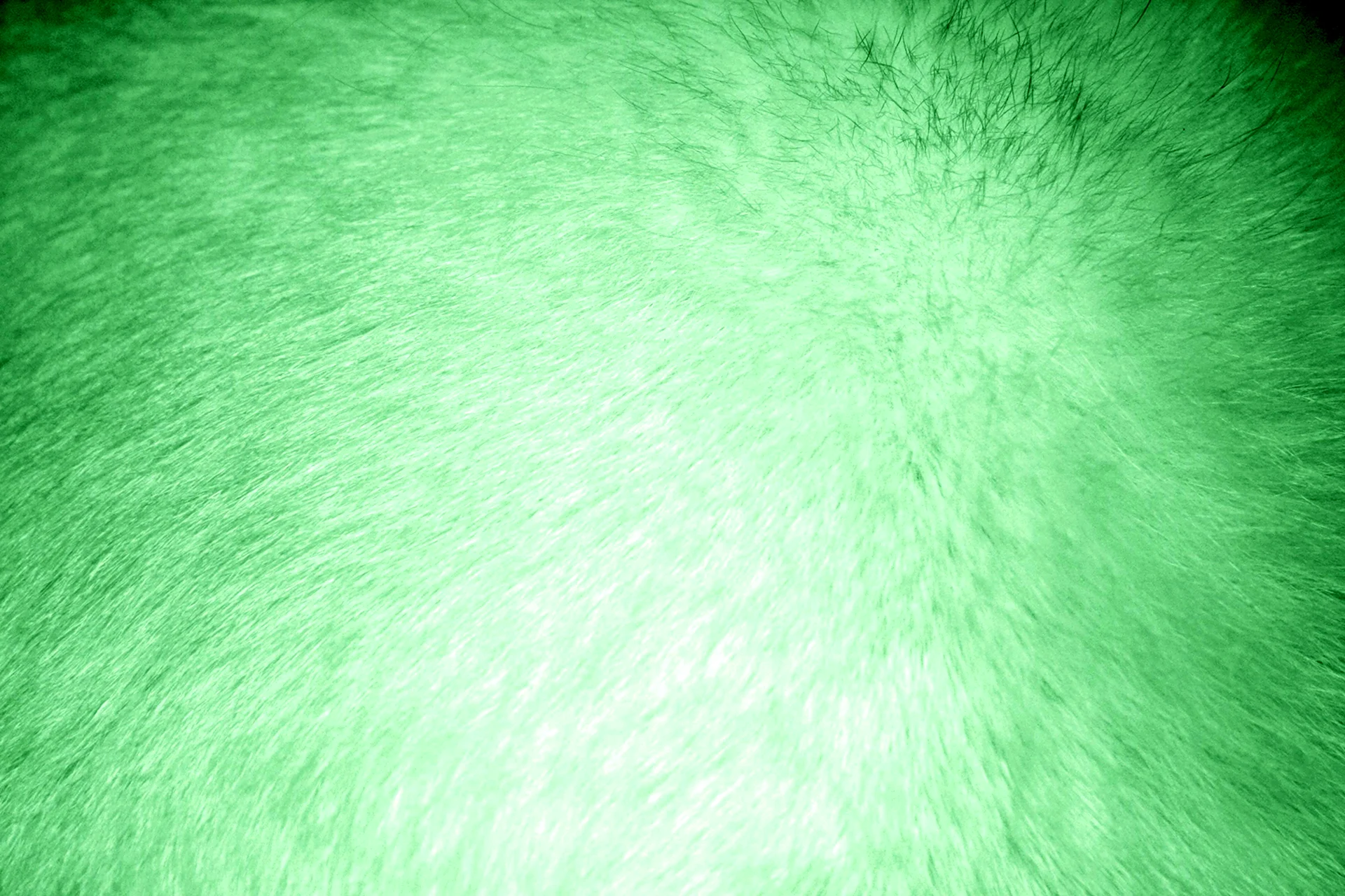 Светло зеленая текстура