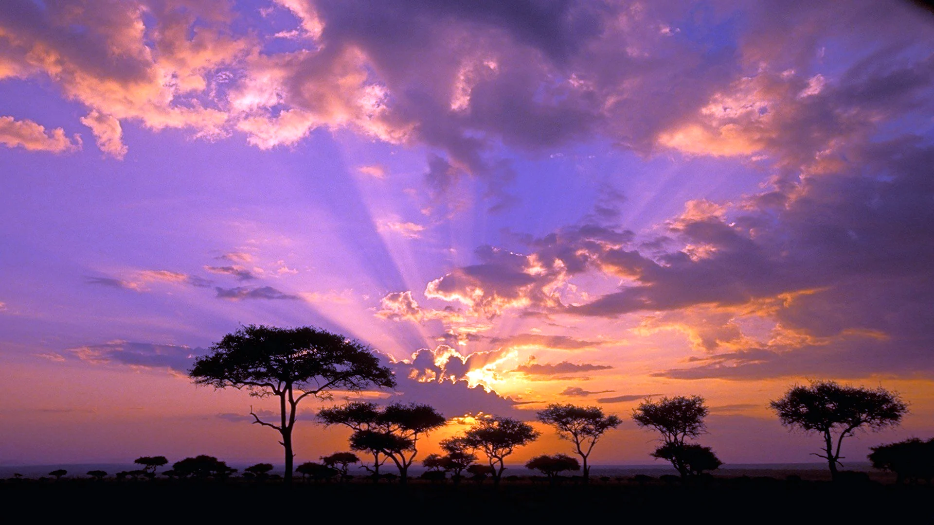 Танзания сафари пейзаж