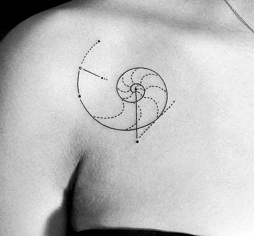 Татуировка спираль Фибоначчи