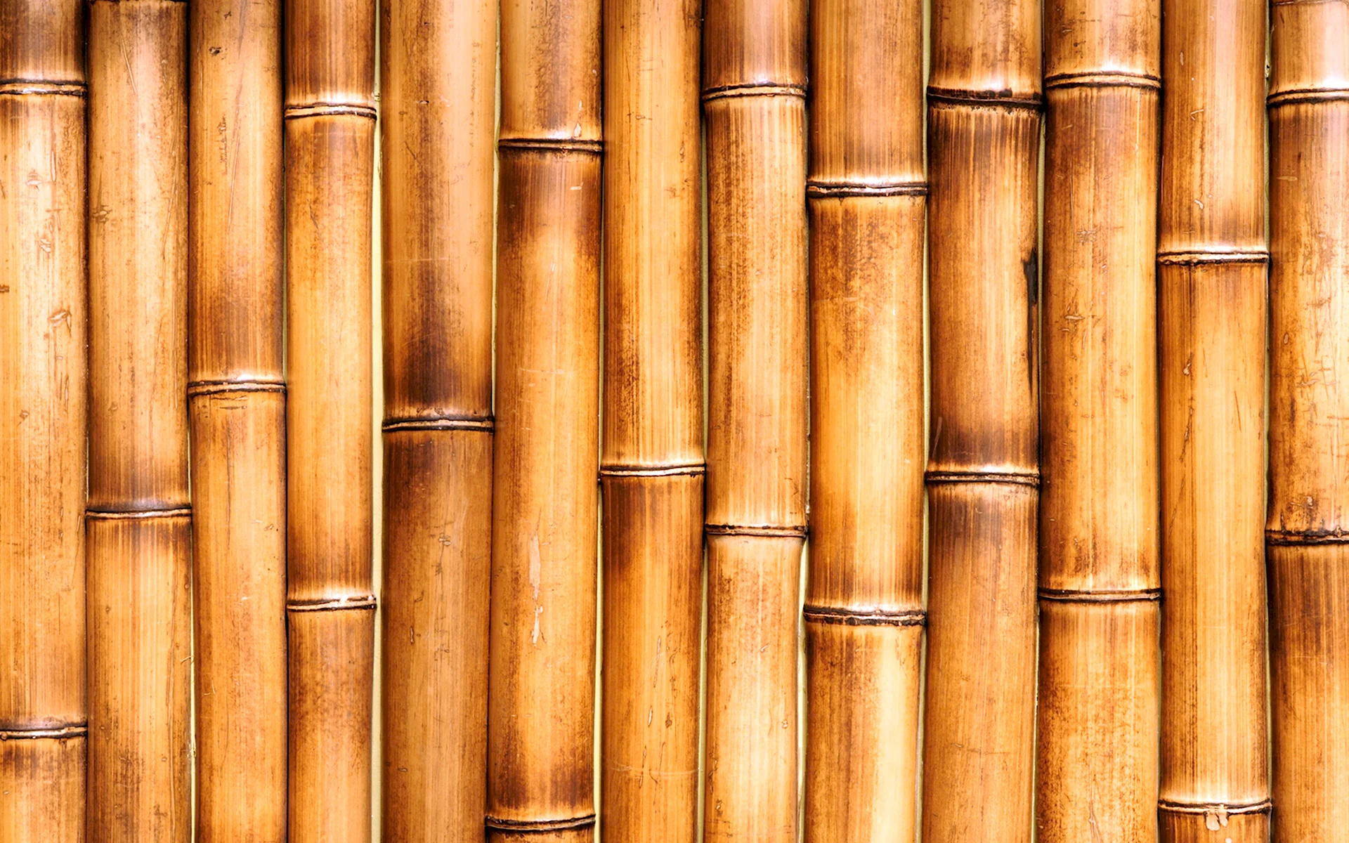 Текстура бамбука для 3d Max