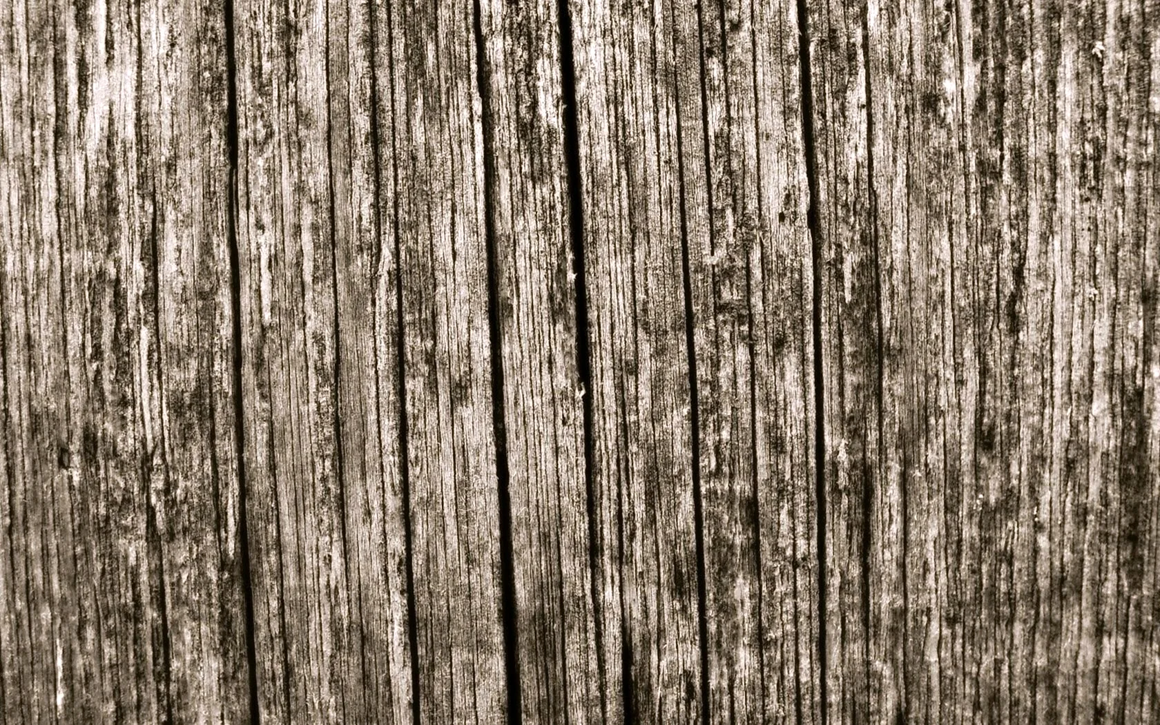 Текстура дерева
