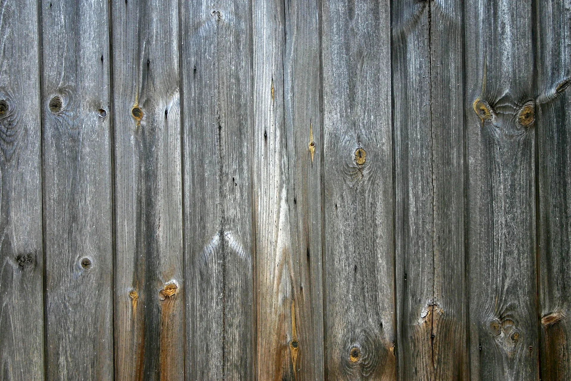 Текстура дерева для двери