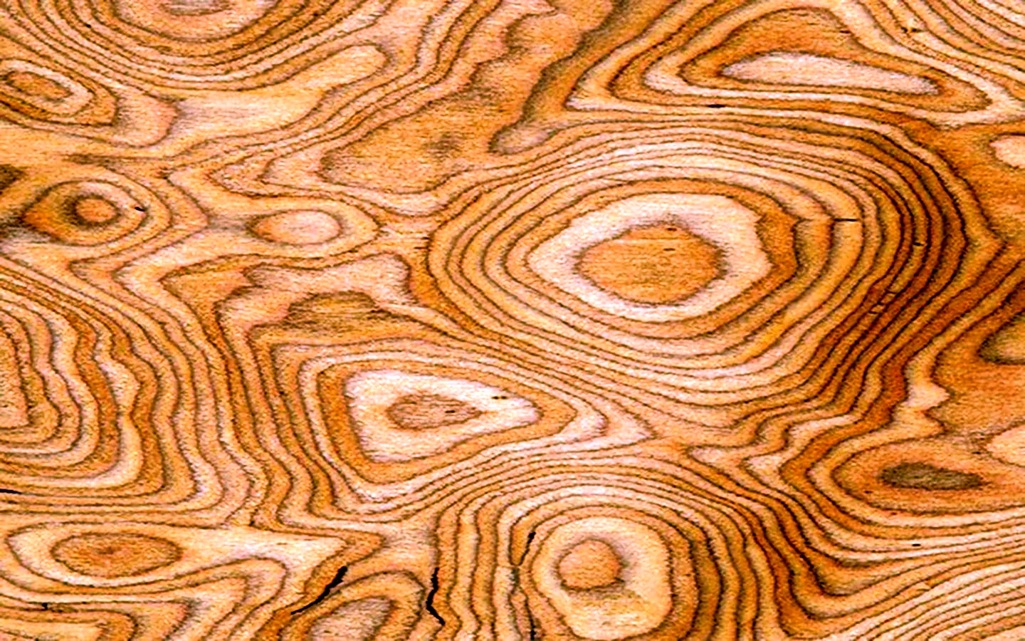Текстура дерева вяз