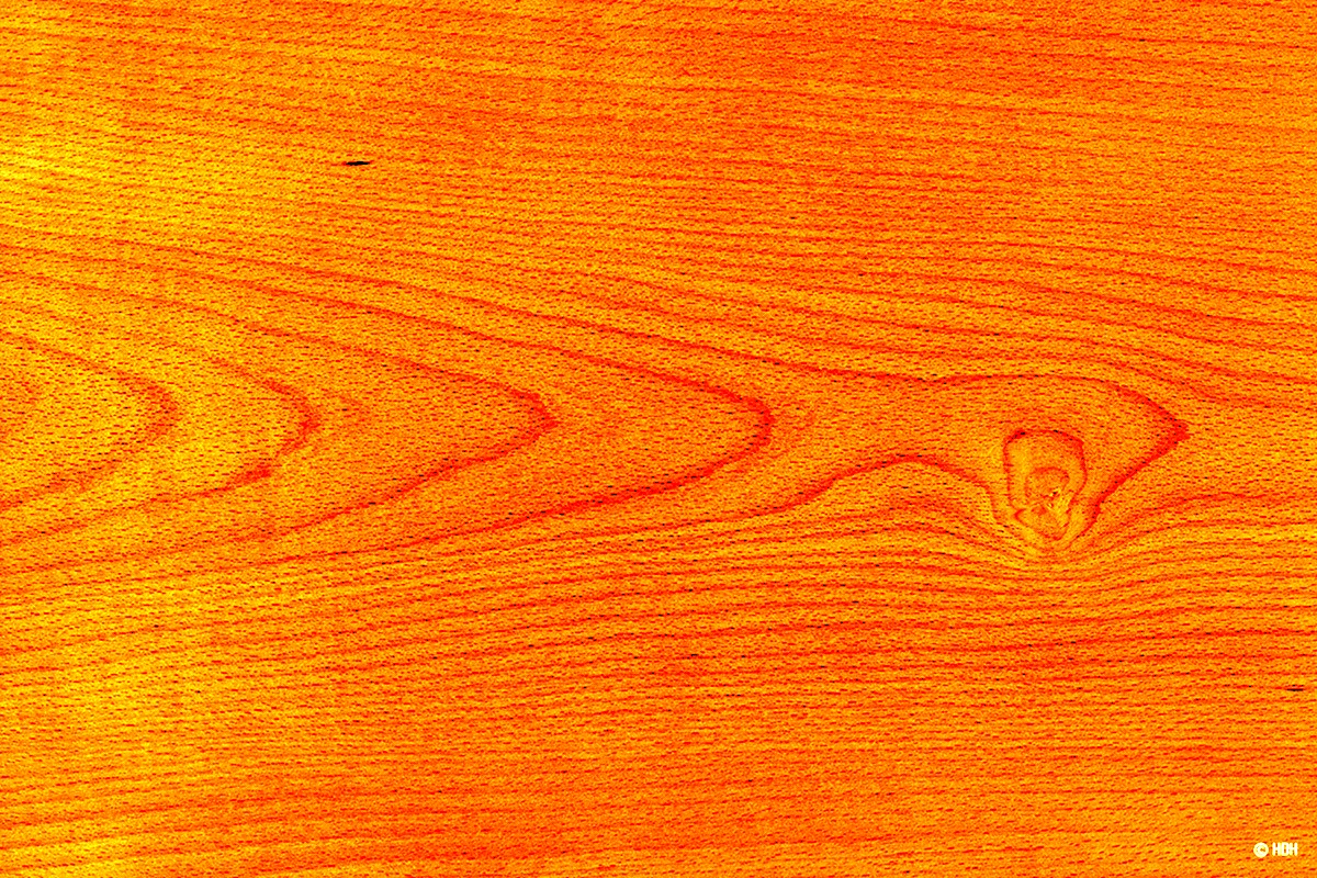 Текстура древесины бука