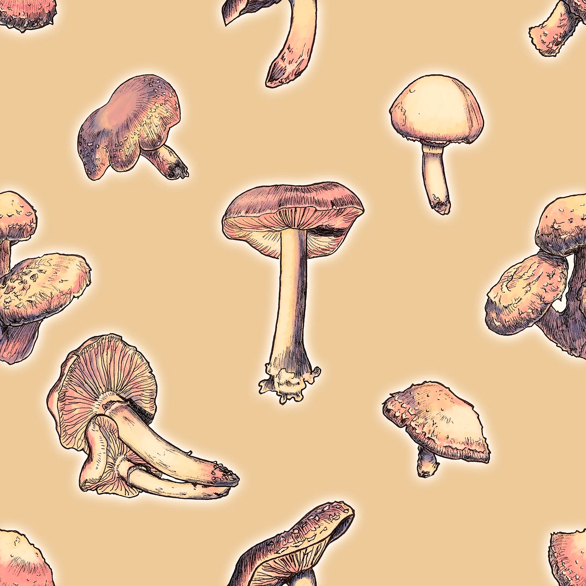 Текстура грибов